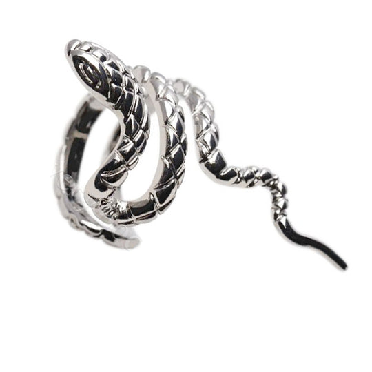 Korvaklipsi käärme