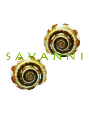 Korvakoru Hopea Merisimpukka