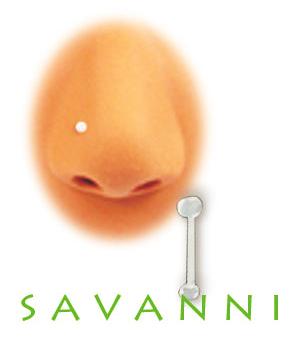 Häivekoru Nenään