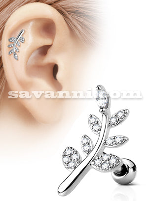 Rustokoru / Traguskoru Lehti